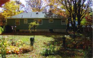 back yard before renovation