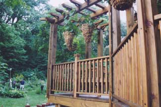 A new pergola for shade and privacy