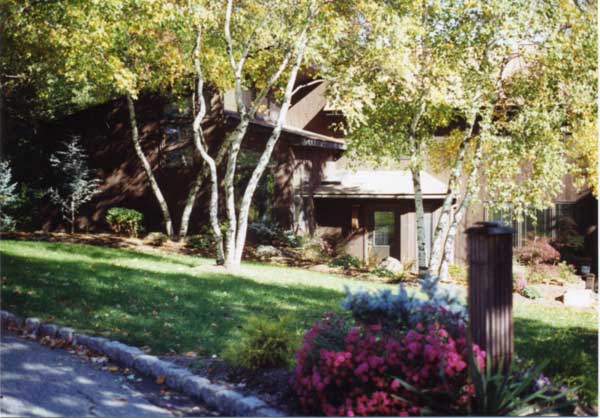 Contemporary renovation