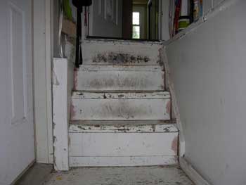 original old steps to basement