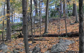 View of house thorough the woods
